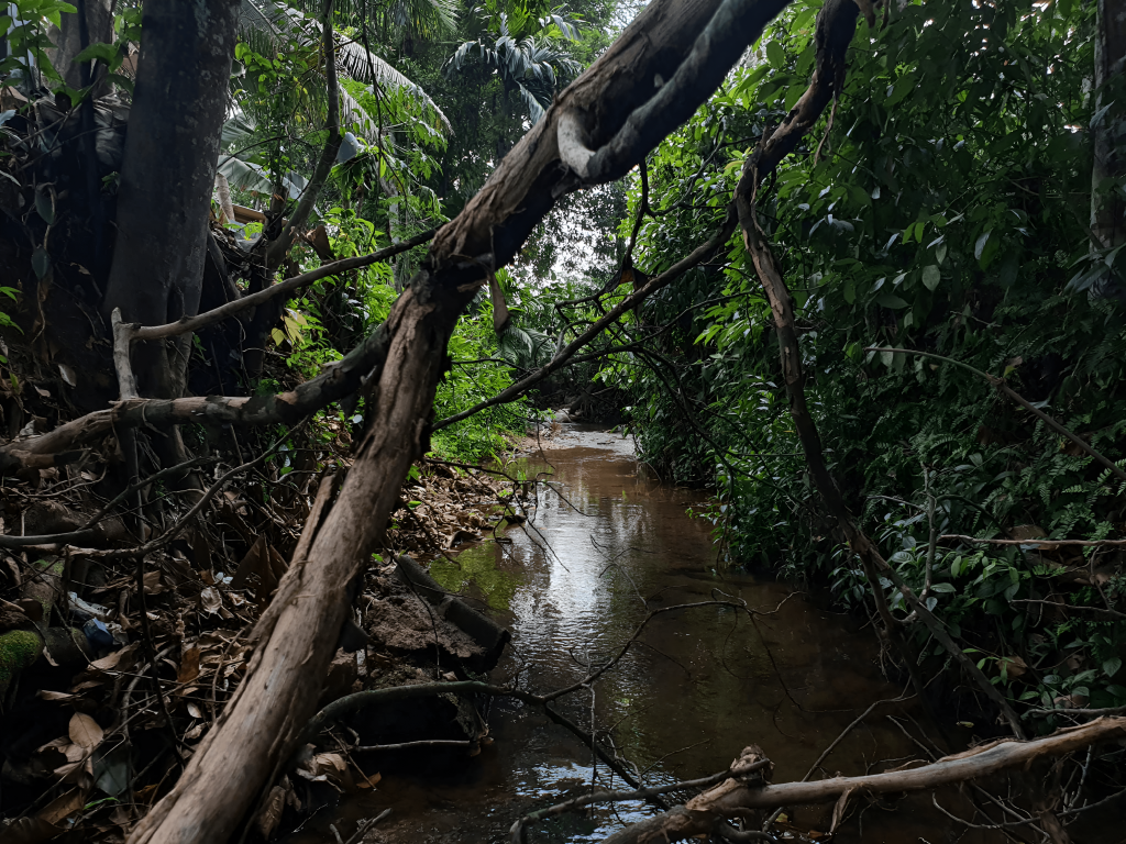 The small stream
